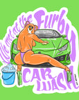 WE MET AT THE FURBY CAR WASH - sticker